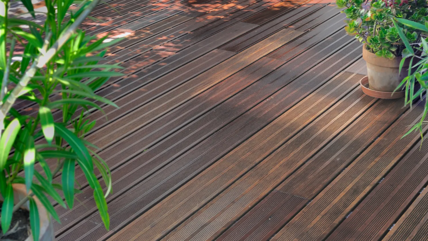 extension maison bois loudeac